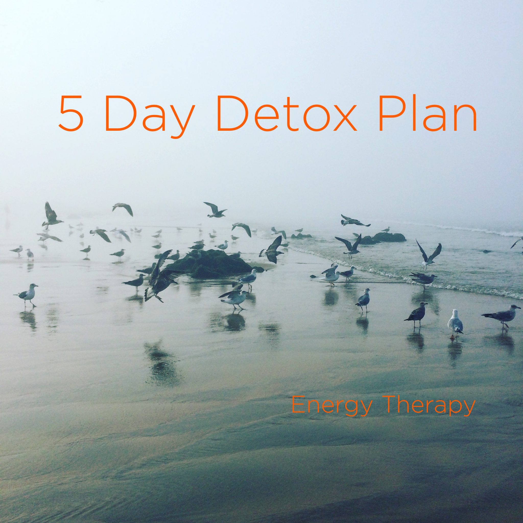 Five Day [Soft] Detox